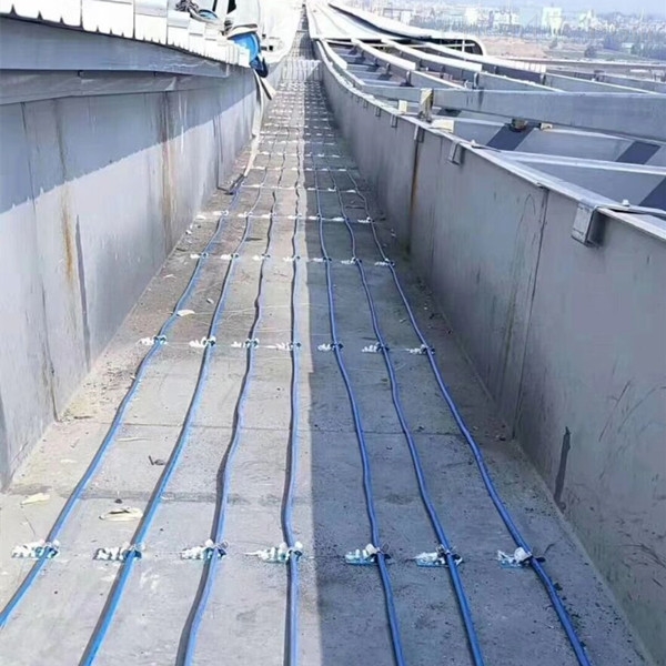17324937464149.jpg